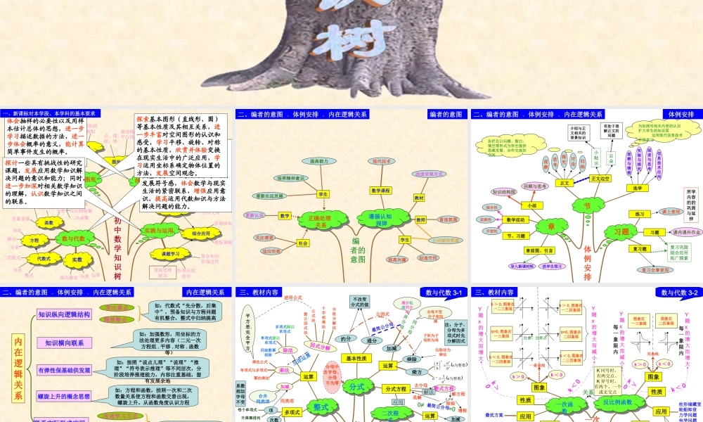 初中数学知识树（王晓波）