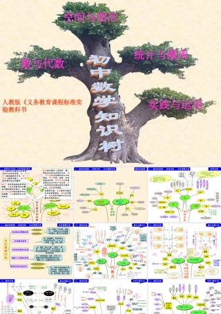 初中数学知识树（王晓波）