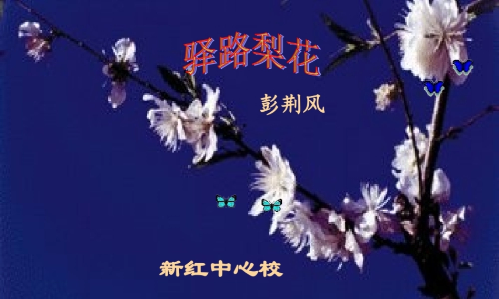 驿路梨花课件