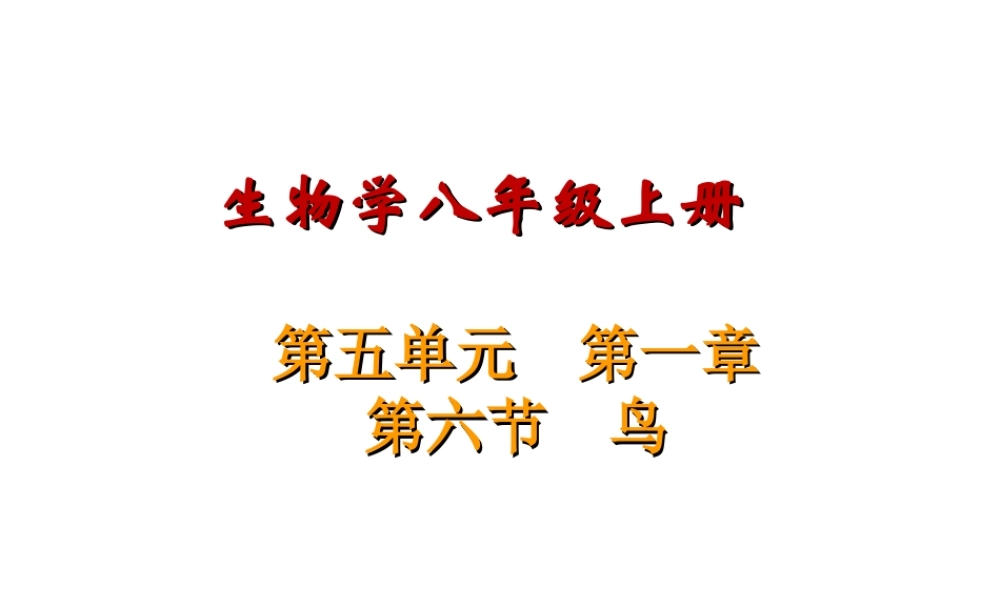 八年级上册第五单元第一章第六节《鸟》