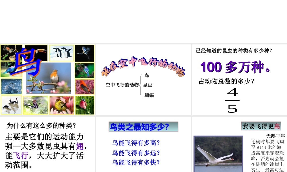 八年级上册第五单元第一章第六节《鸟》