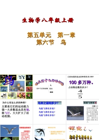 八年级上册第五单元第一章第六节《鸟》