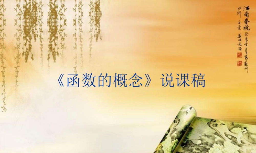 《函数的概念》说课稿