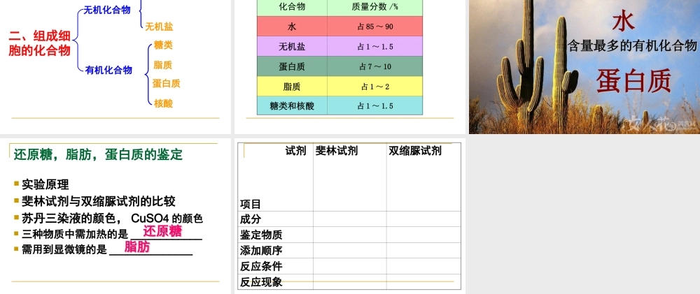 第二章第一节细胞中的元素和化合物