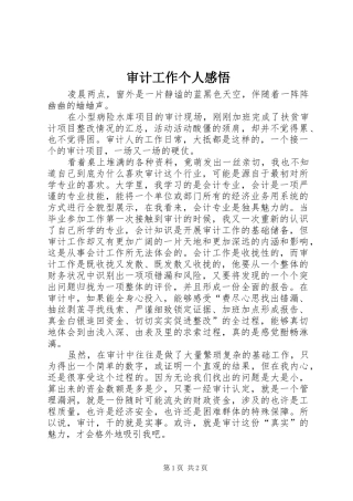 审计工作个人感悟