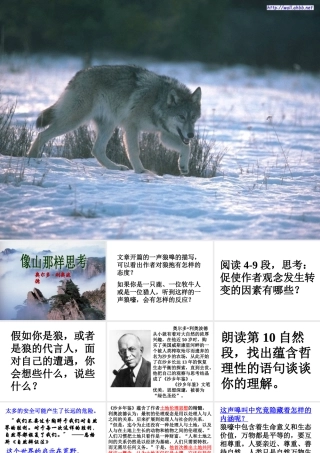 苏教版像山那样思考PPT课件