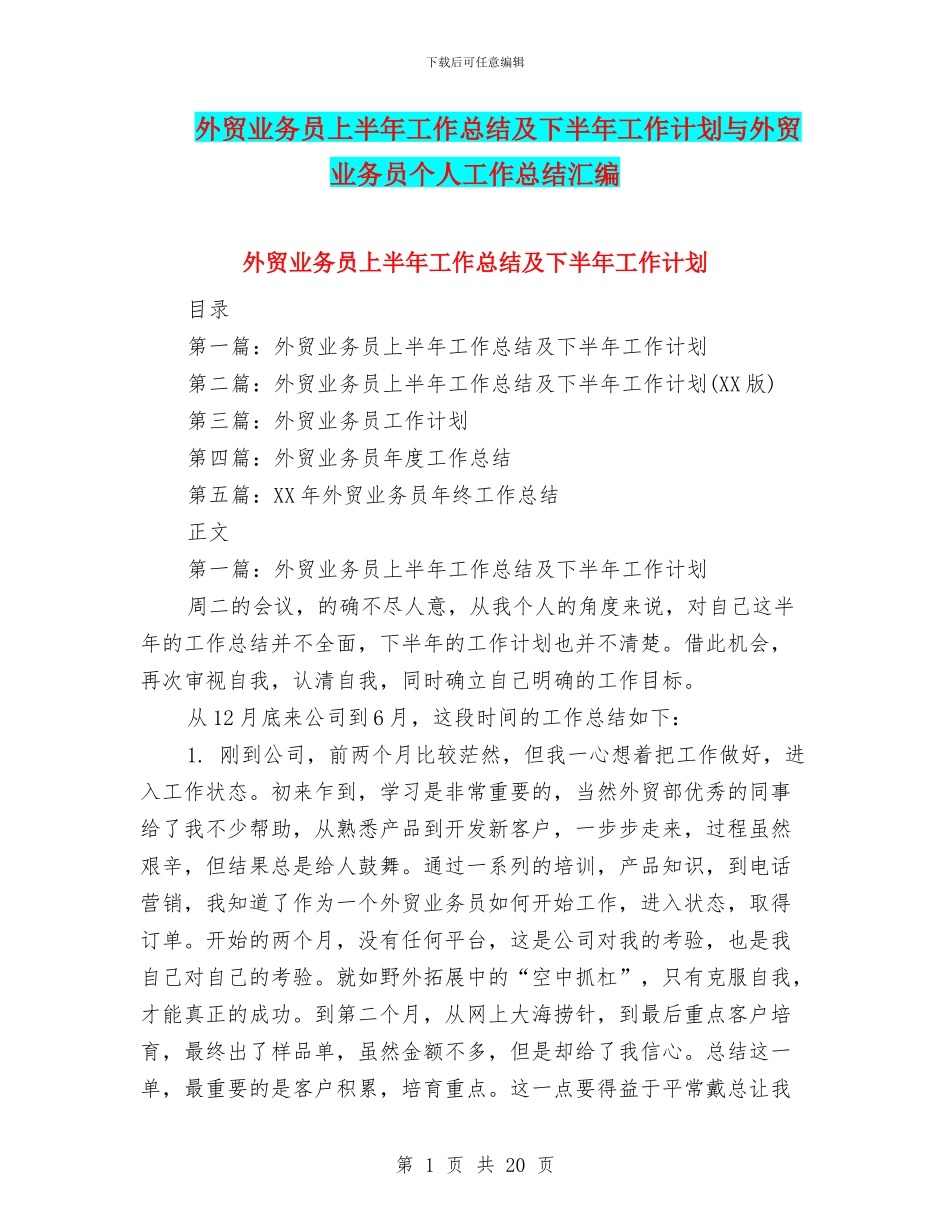 外贸业务员上半年工作总结及下半年工作计划与外贸业务员个人工作总结汇编.doc_第1页