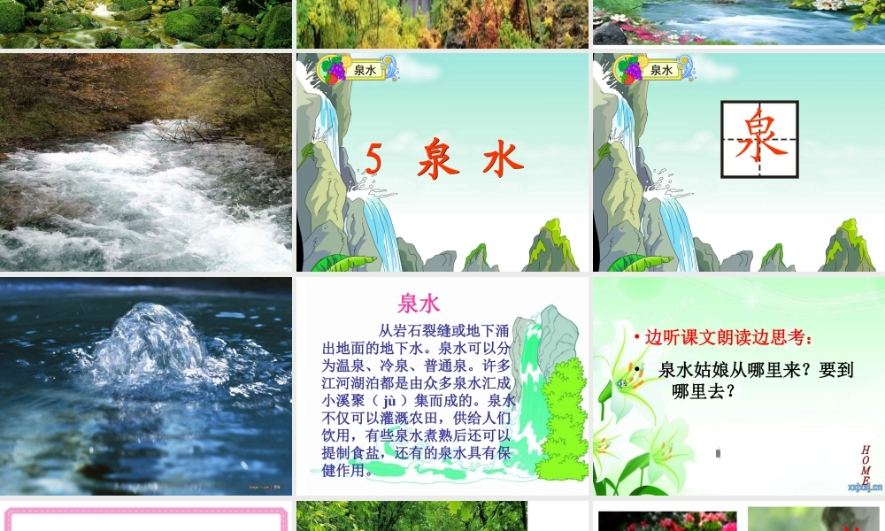 泉水第一课时