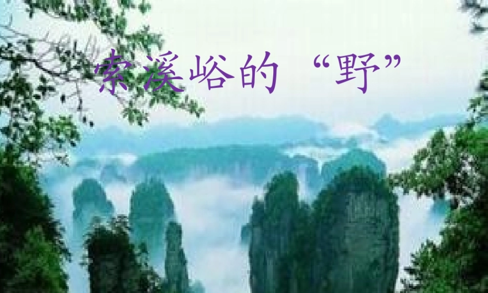 人教版六年级上册索溪峪的野_优秀课件