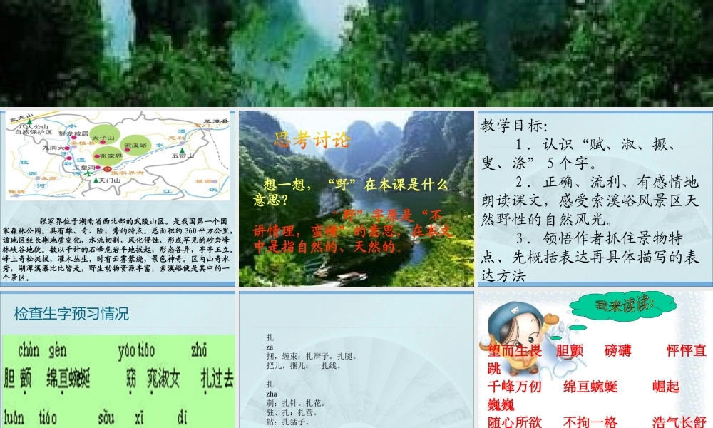 人教版六年级上册索溪峪的野_优秀课件