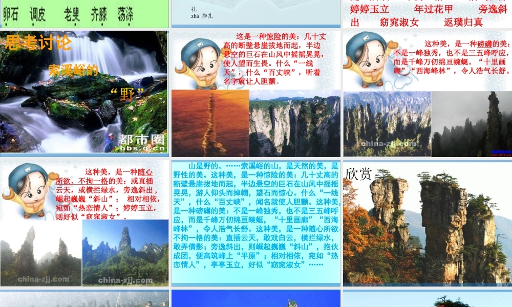 人教版六年级上册索溪峪的野_优秀课件