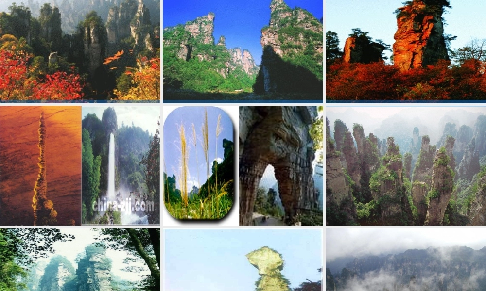 人教版六年级上册索溪峪的野_优秀课件