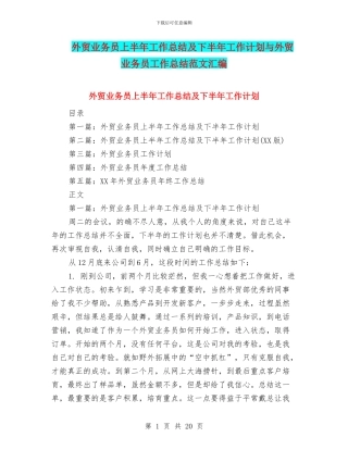 外贸业务员上半年工作总结及下半年工作计划与外贸业务员工作总结范文汇编