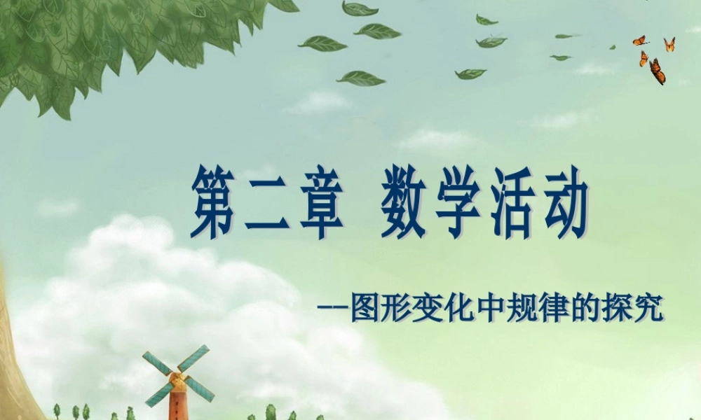 第二章整式的加减