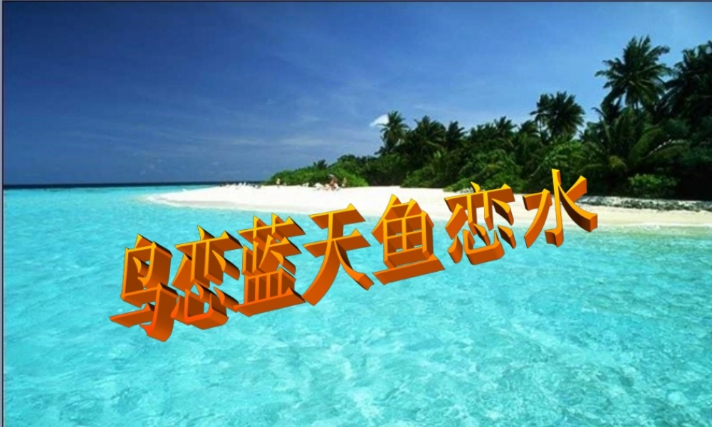 《鸟恋蓝天鱼恋水》参考课件