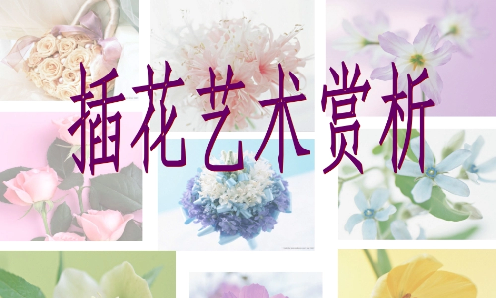 第一章插花艺术概说PPT
