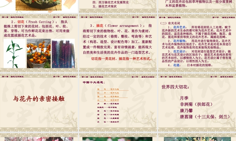 第一章插花艺术概说PPT