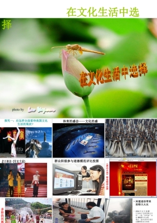 在文化生活中选择