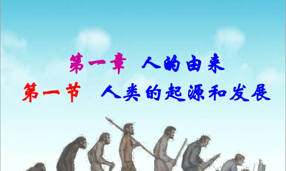 《人类的起源和发展》参考课件