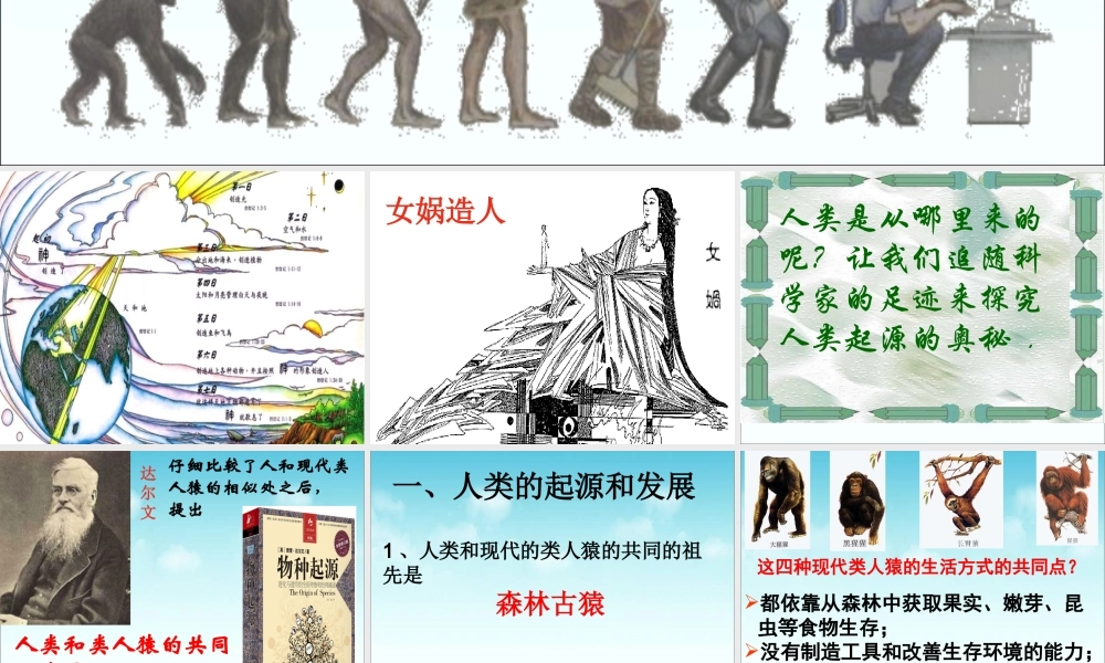 《人类的起源和发展》参考课件