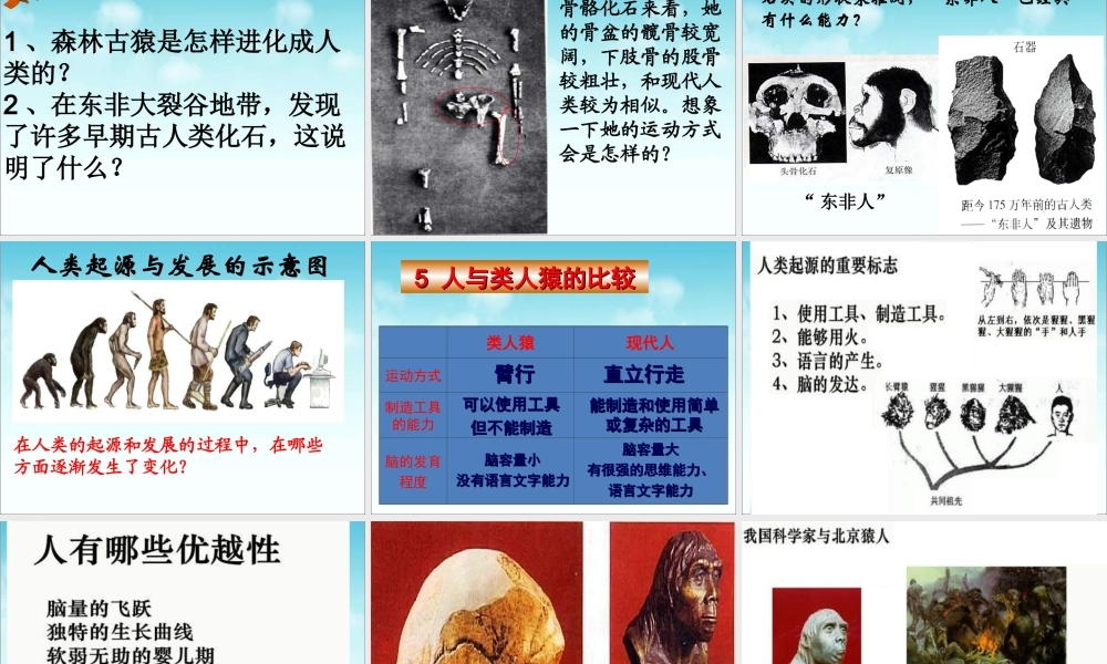 《人类的起源和发展》参考课件