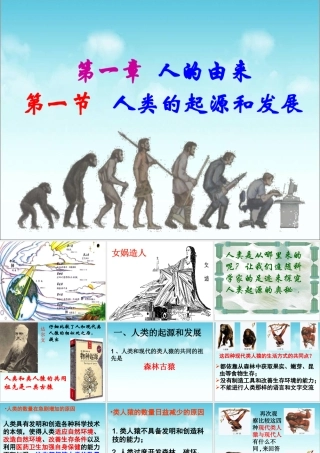 《人类的起源和发展》参考课件