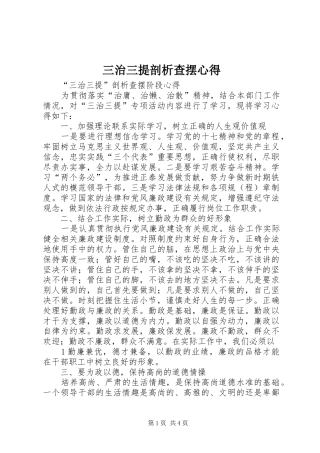三治三提剖析查摆心得