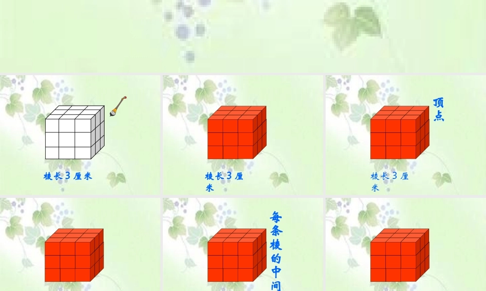 表面涂色的正方体