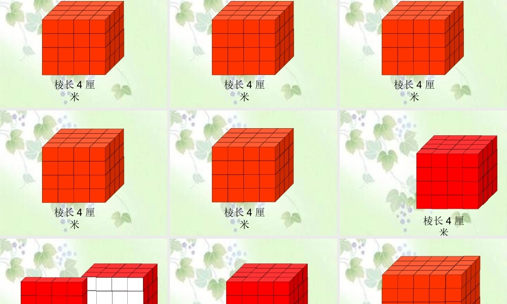 表面涂色的正方体