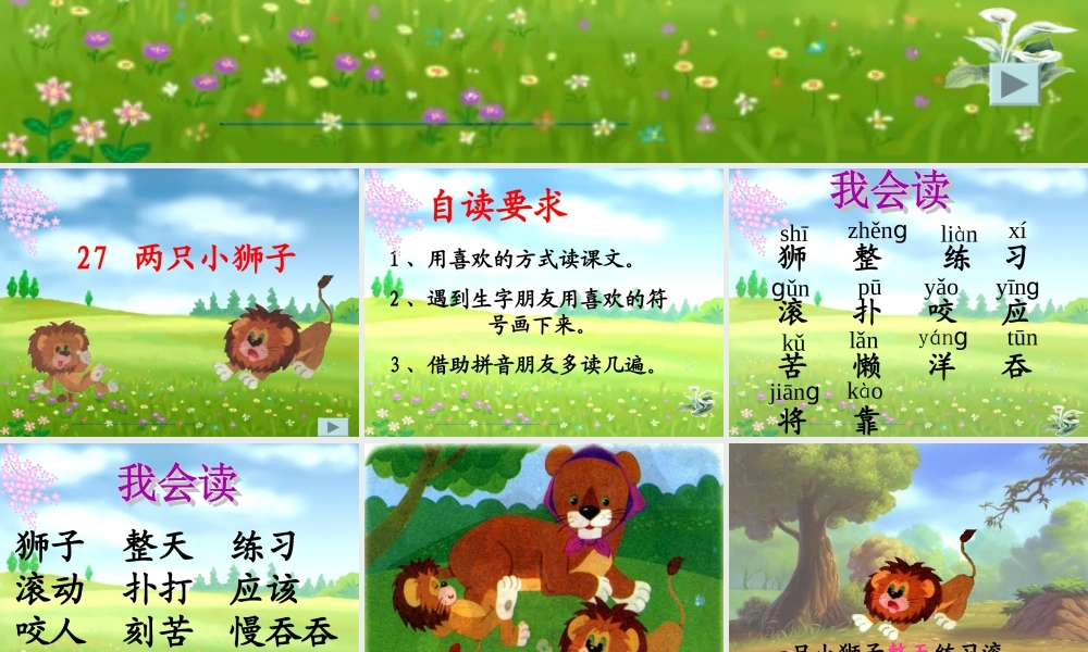 两只小狮子_教学_课件