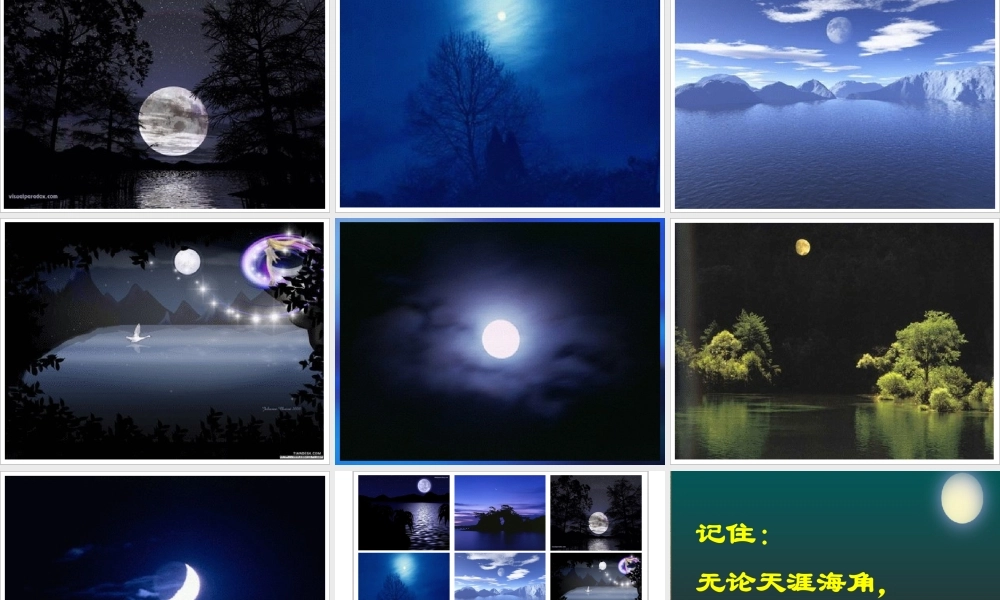 五年级语文望月