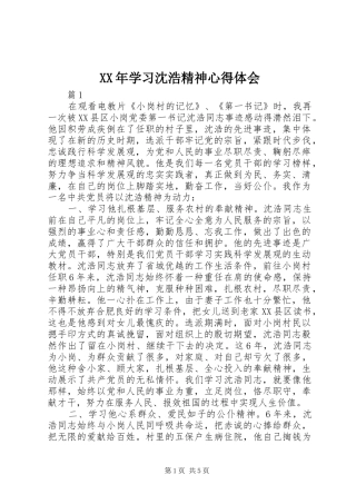 XX年学习沈浩精神心得体会