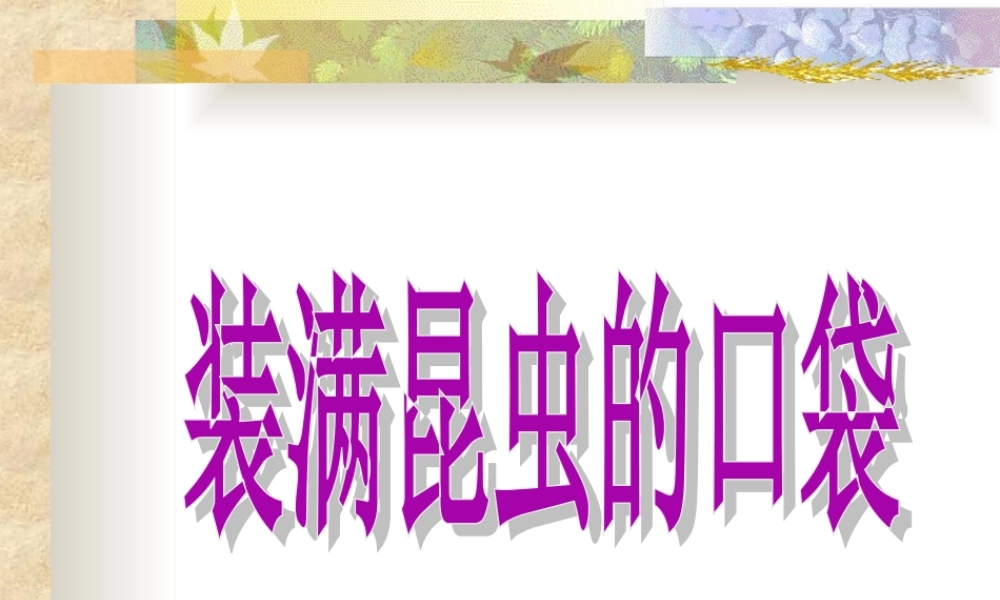 北师版小学三年级语文装满昆虫的口袋