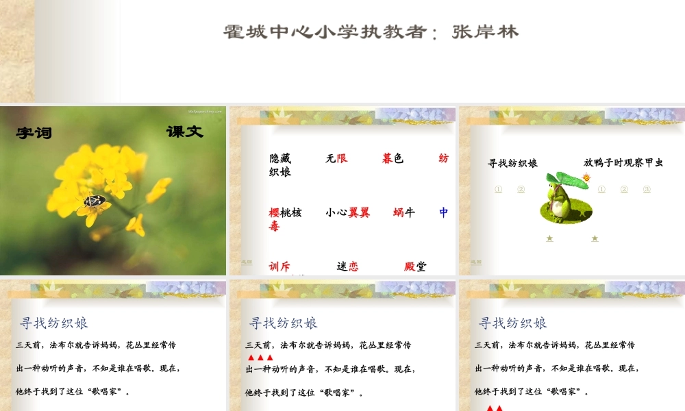 北师版小学三年级语文装满昆虫的口袋