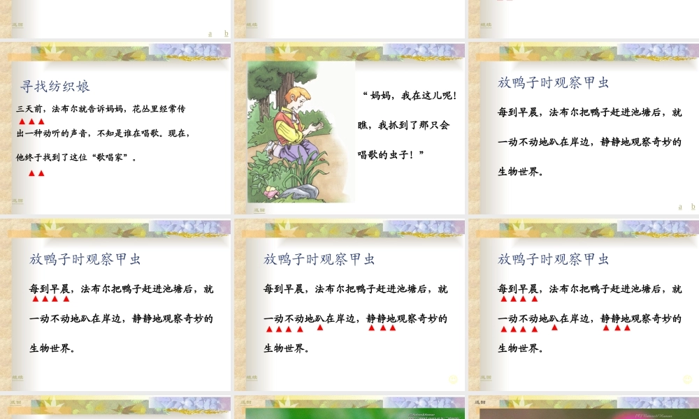 北师版小学三年级语文装满昆虫的口袋