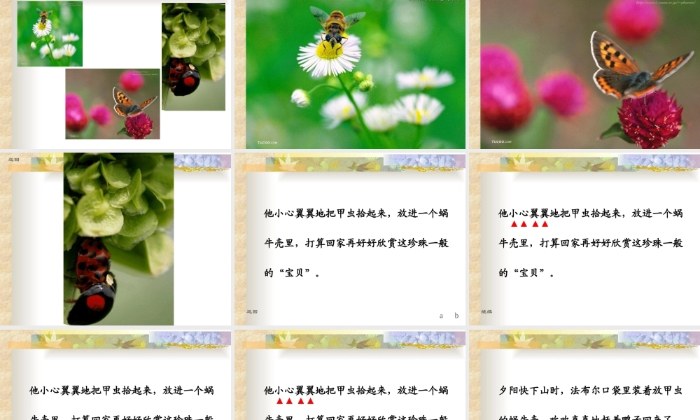 北师版小学三年级语文装满昆虫的口袋