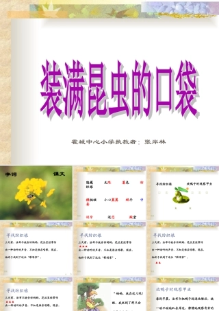 北师版小学三年级语文装满昆虫的口袋