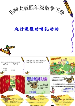 北师大版四年级数学下册课《爬行最慢的哺乳动物》课件
