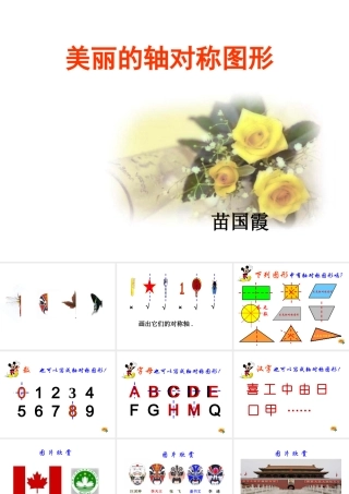《美丽的轴对称图形》课件