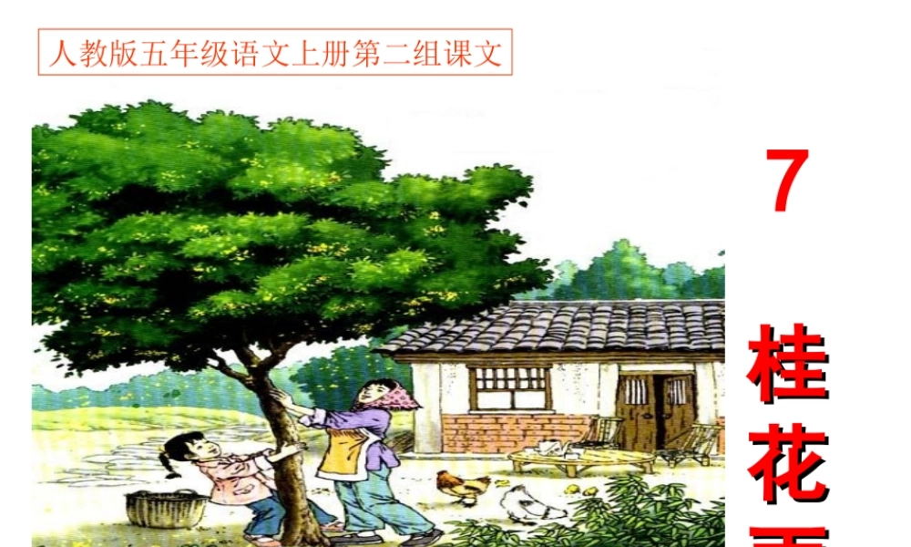 桂花雨PPT课件