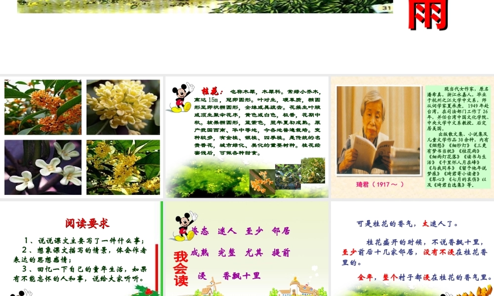 桂花雨PPT课件
