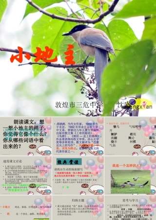 《小地主》课件