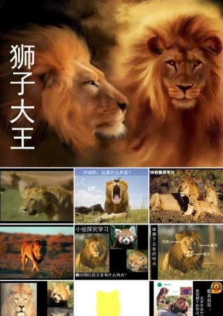 狮子大王课件