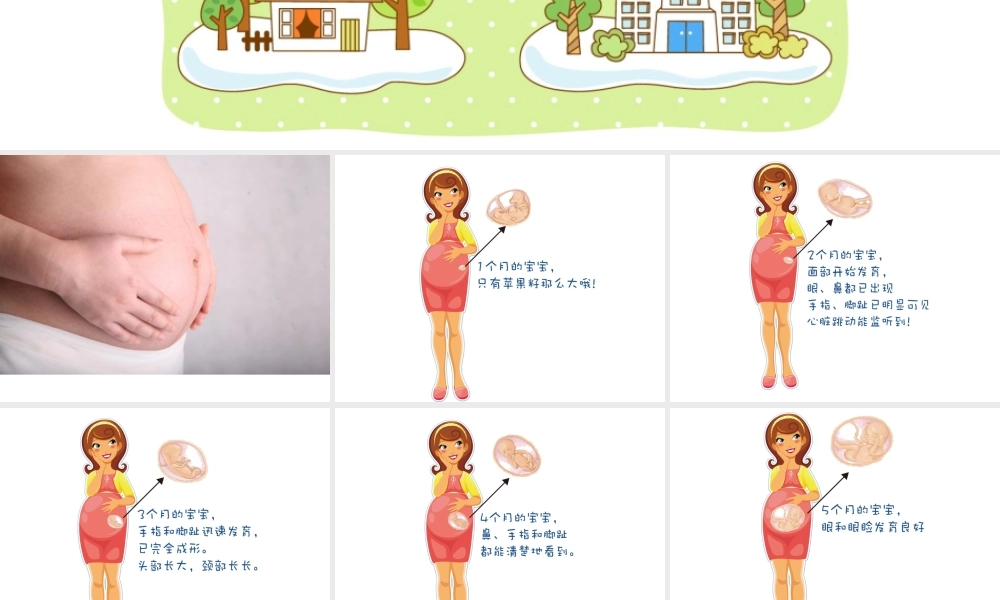 大肚子妈妈(共享版）