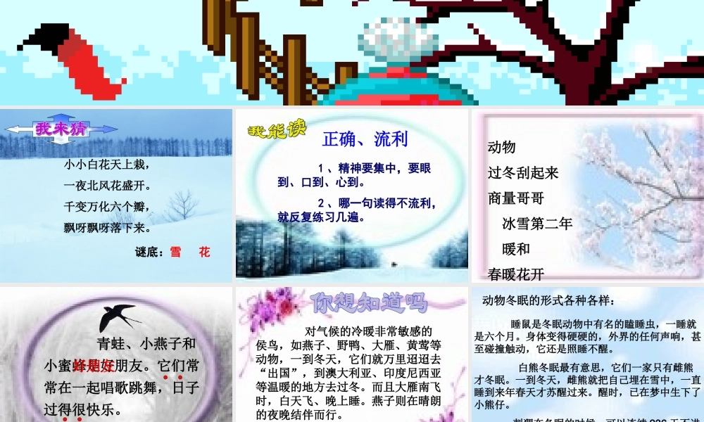 苏教版二年级语文小动物过冬
