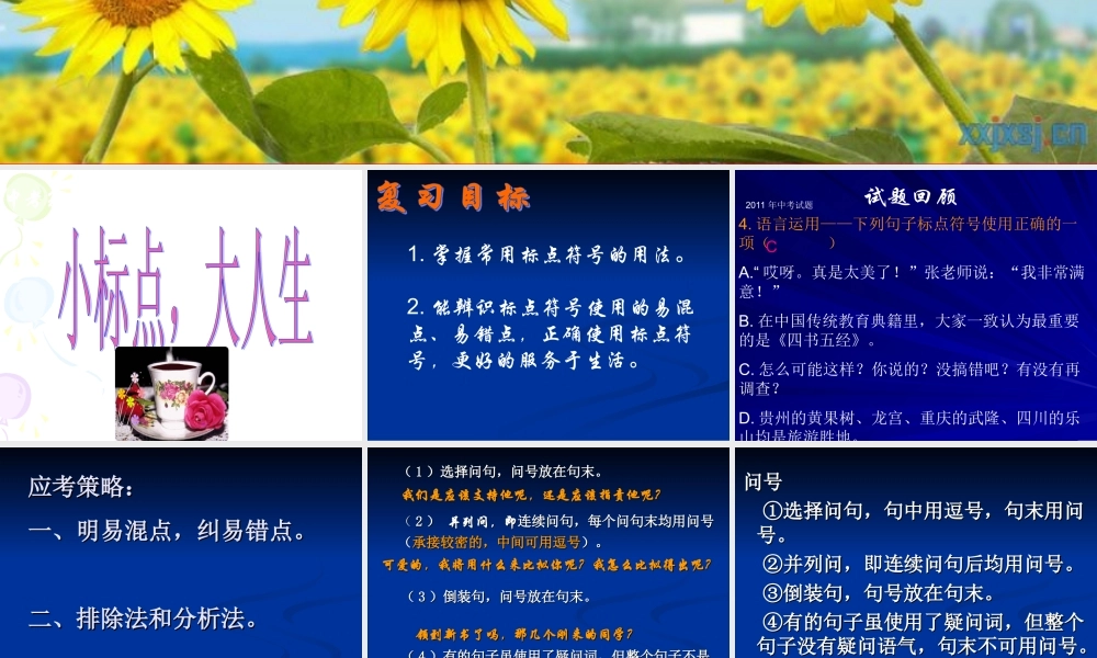 中考标点符号复习(补充）