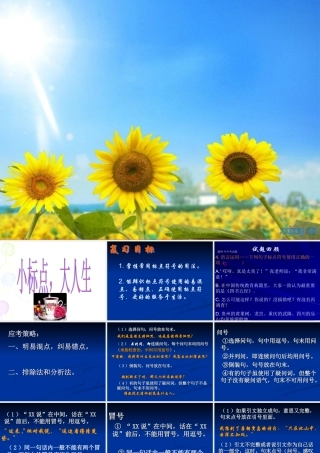 中考标点符号复习(补充）