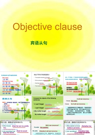 我的宾语从句课件