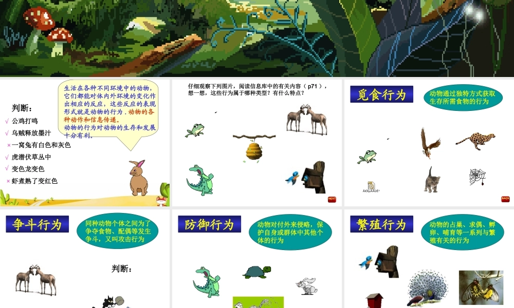 第二节动物的行为