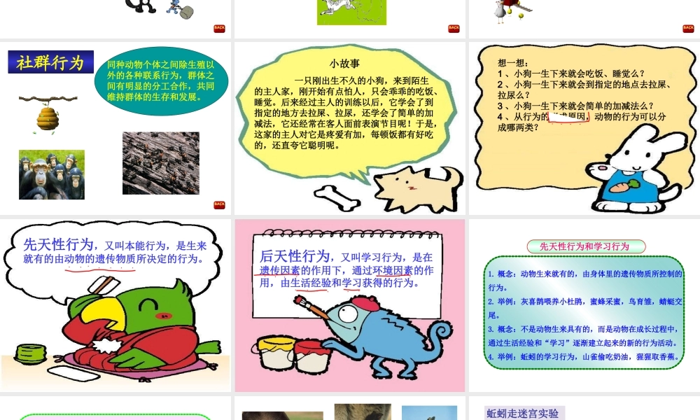 第二节动物的行为